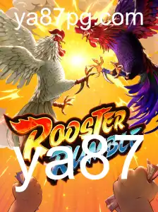 RoosterRumble: Um Guia Completo para Iniciantes